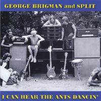 George Brigman And Split : I Can Hear the Ants Dancin'
